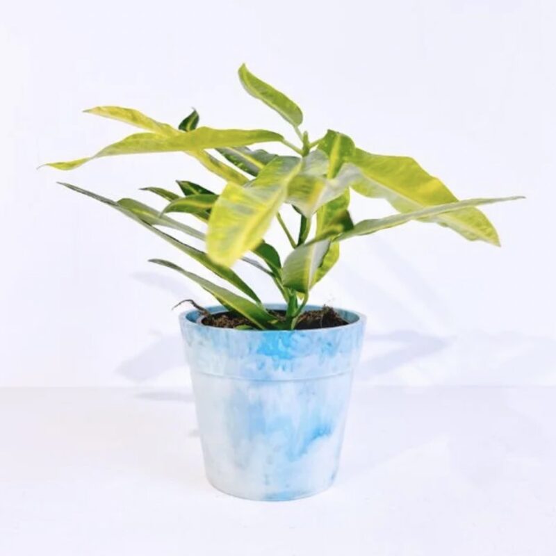 Cache-pot en plastique recyclé