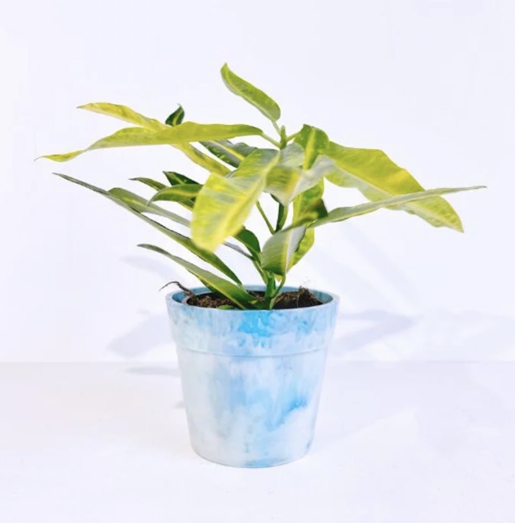 Cache-pot en plastique recyclé