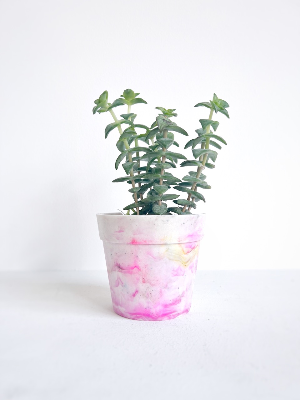 Cache-pot en plastique recyclé – Image 12