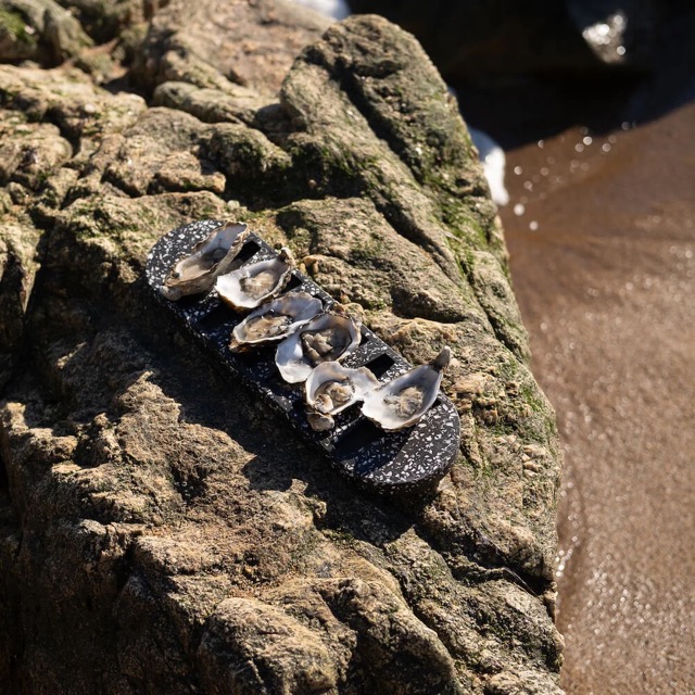 Plateau à huîtres La Demie Douzaine en coquillages revalorisés – Image 17