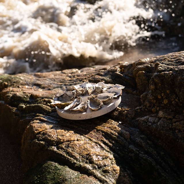 Plateau à huîtres La Douzaine en coquillages revalorisés – Image 3