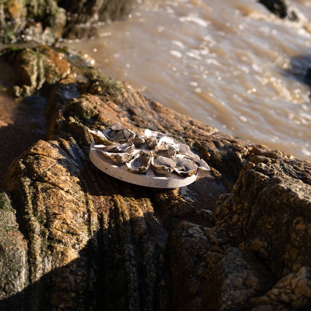 Plateau à huîtres La Douzaine en coquillages revalorisés – Image 4