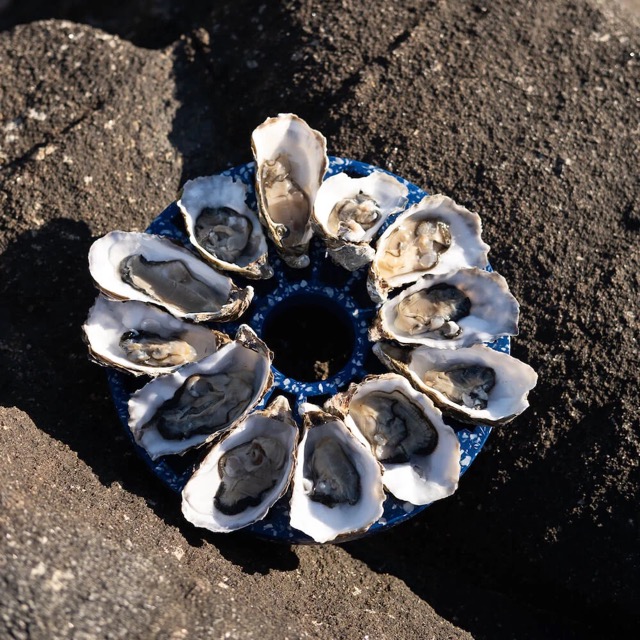 Plateau à huîtres La Douzaine en coquillages revalorisés – Image 10