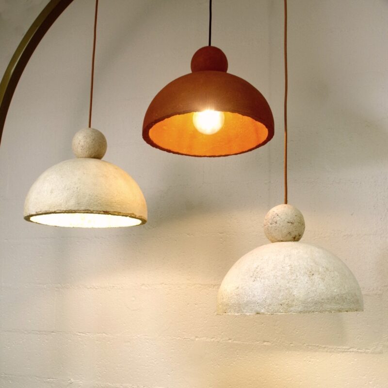 Suspension Collybie en mycélium